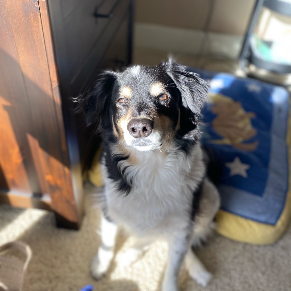 Meet your Posher, Eddy